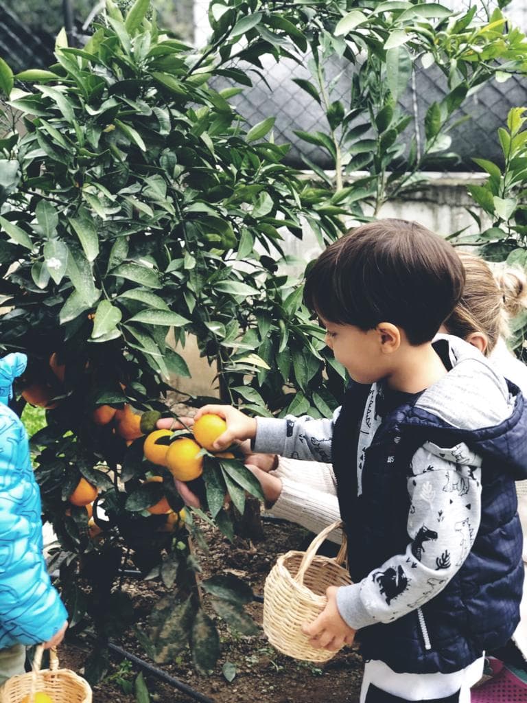 Okul ve doğa ortamı