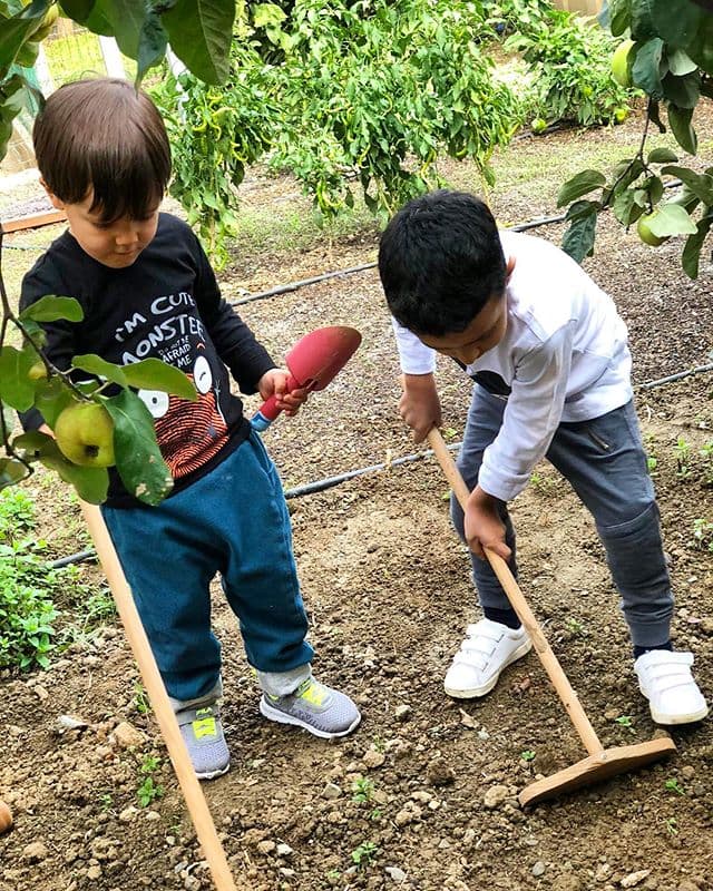 Anaokulu programları