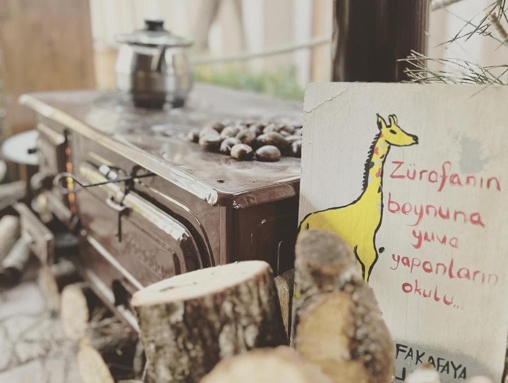 Anaokulu programından kare