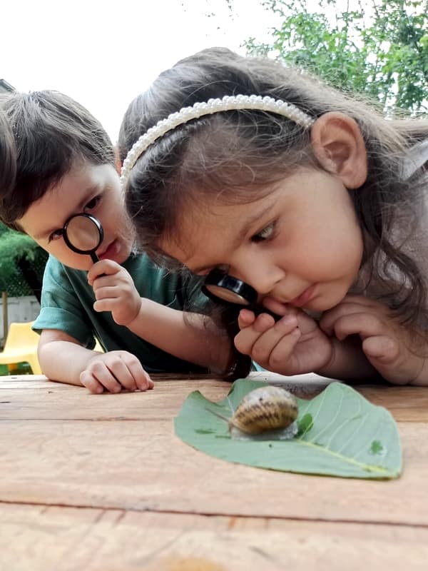 Montessori ve Waldorf materyalleri